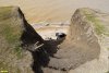 Спуск к Азовскому морю в перспективной ООПТ Воронцовская софоровая роща