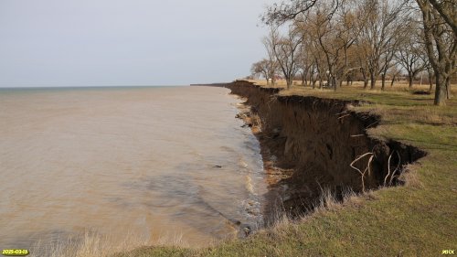 Перспективная ООПТ Воронцовская софоровая роща на южном берегу Таганрогского залива Азовского моря