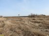 Фазан над перспективной ООПТ Воронцовская падь