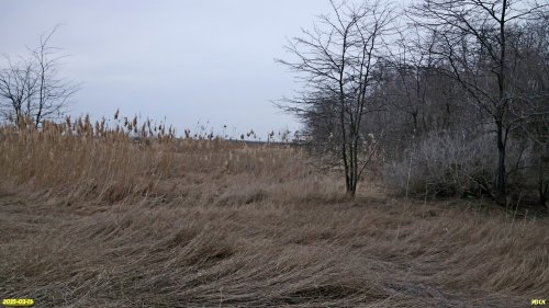 Перспективная ООПТ Насаждение над Воронцовской падью