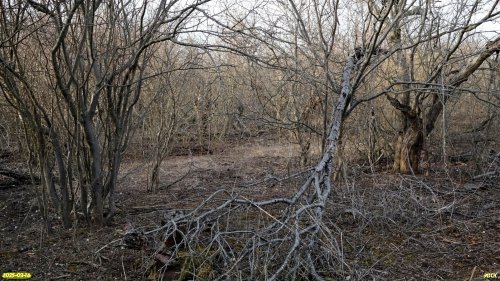 Перспективная ООПТ Широчанский лесопарк