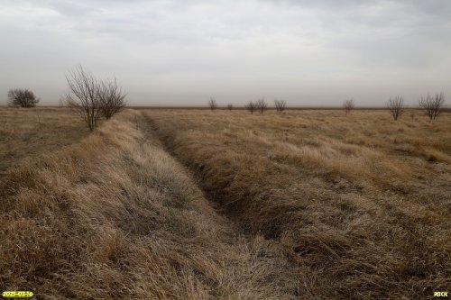 Перспективная ООПТ Кухаривская степь