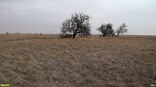 Перспективная ООПТ Кухаривская степь