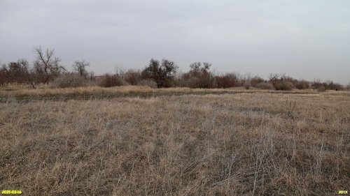 Перспективная ООПТ Кухаривская степь