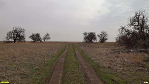 Перспективная ООПТ Кухаривское перелесье