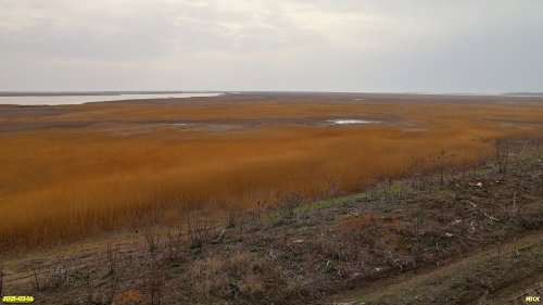 Перспективная ООПТ Камышеватский высокий берег