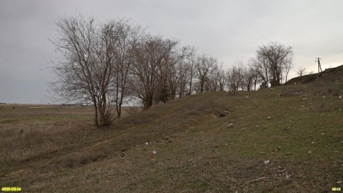 Перспективная ООПТ Камышеватские солончаки