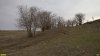 Перспективная ООПТ Камышеватские солончаки