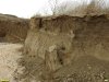 Осыпающийся глиняный обрыв в перспективной ООПТ Камышеватские солончаки