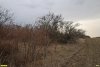Перспективная ООПТ Камышеватская роща