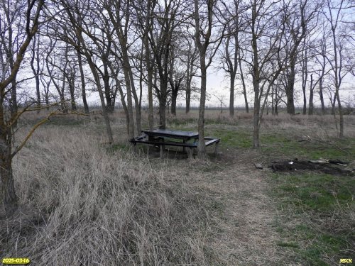 "Элементы благоустройства" в перспективной ООПТ Первомайская падь