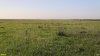 Перспективная ООПТ Круглая падь