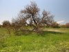 Перспективная ООПТ Кухаривская степь
