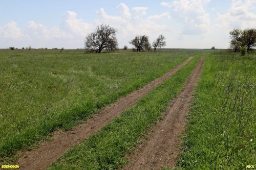Перспективная ООПТ Кухаривское перелесье 
