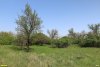Перспективная ООПТ Кухаривское перелесье 