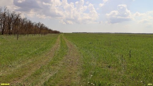Перспективная ООПТ Падь Орлова