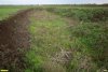 Перспективная ООПТ Падь Громова