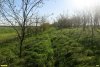 Перспективная ООПТ Южный склон Воронцовской пади