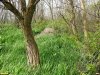 Перспективная ООПТ Урочище Михельсталь