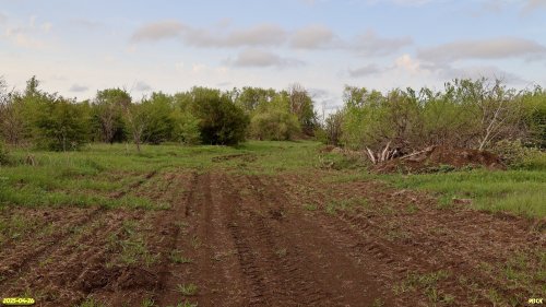 Перспективная ООПТ Рудовский лес