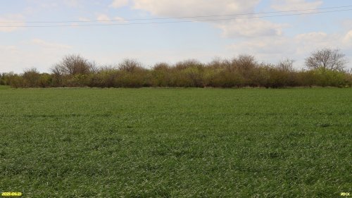 Перспективная ООПТ Глафировский сад
