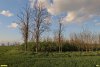 Перспективная ООПТ Колок в урочище Подлодки