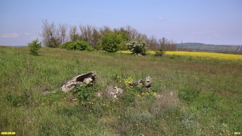 Перспективная ООПТ Веселогорская степь