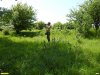 Обследование перспективной ООПТ Веселогорская роща
