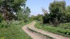 Перспективная ООПТ Веселогорская роща