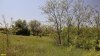 Перспективная ООПТ Веселогорская роща