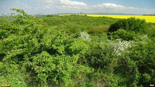Перспективная ООПТ Западно-Чеконская балка
