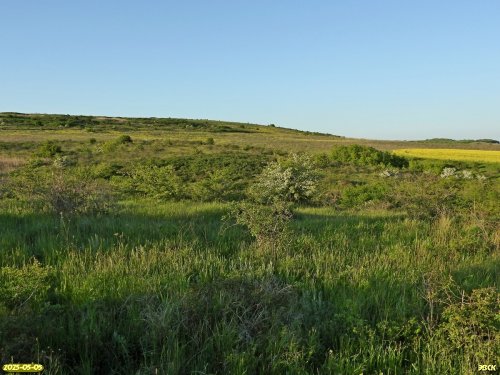 Перспективная ООПТ Гостагайская лесостепь