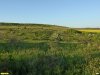 Перспективная ООПТ Гостагайская лесостепь