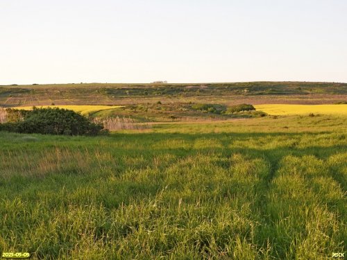 Перспективная ООПТ Гостагайская лесостепь