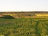 Перспективная ООПТ Гостагайская лесостепь