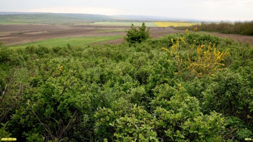 Перспективная ООПТ Красногостагаевская степь