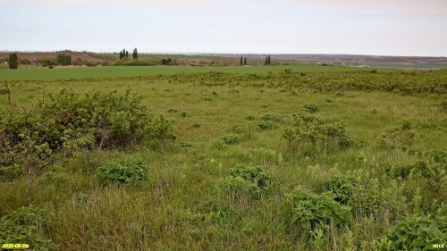 Перспективная ООПТ Красногостагаевская степь