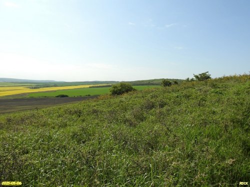Перспективная ООПТ Красноскальская степь