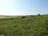 Перспективная ООПТ Красноскальская степь