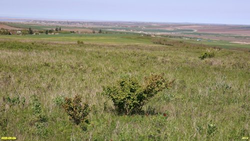 Перспективная ООПТ Красноскальская степь