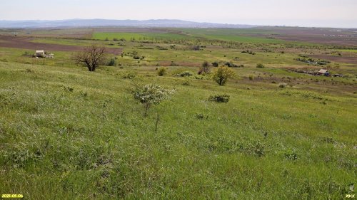 Перспективная ООПТ Султанская степь