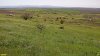 Перспективная ООПТ Султанская степь