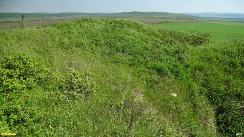Перспективная ООПТ Гора Султанская
