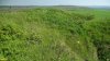 Перспективная ООПТ Гора Султанская