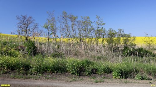 Перспективная ООПТ Капустянская лесостепь