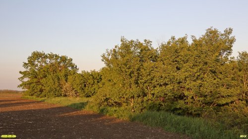 Перспективная ООПТ Урочище Фоменко