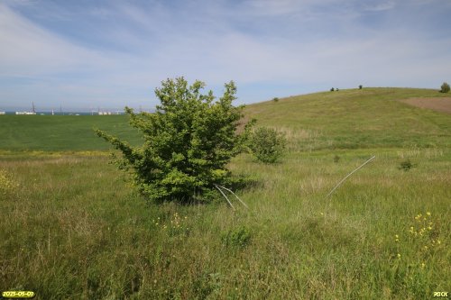 Перспективная ООПТ Красненский бугор