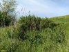 Перспективная ООПТ Красненский бугор