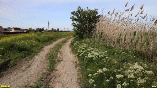 Перспективная ООПТ Тарасовский пруд