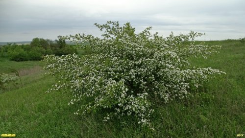 Перспективная ООПТ Гарькавые балки